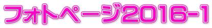 tHgy[W2016-1