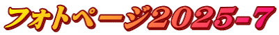 フォトページ2025-7 